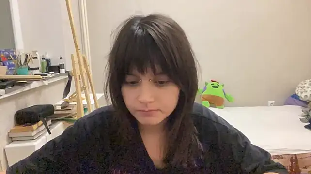 SaintMari webcam