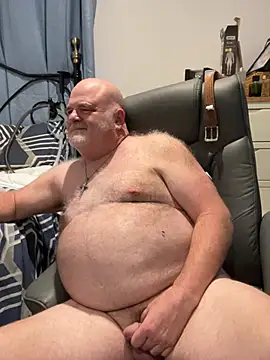 greyoakbear