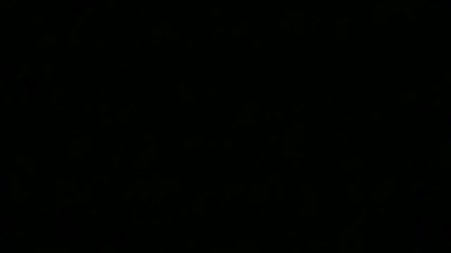 SamuelTal webcam