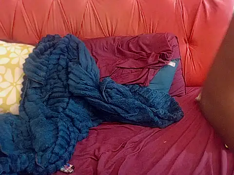 BaselBlues webcam