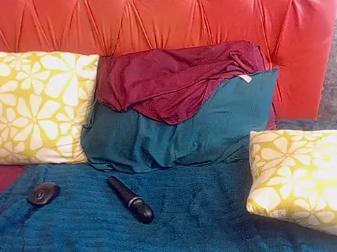 BaselBlues webcam