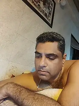 hardnhornybull