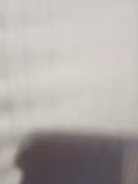SAMMY_30-