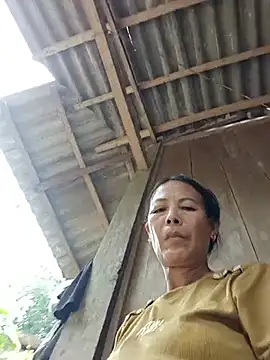 toyo_668