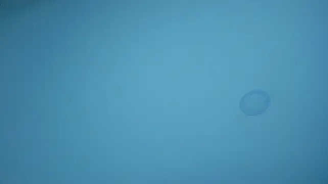 DilanMiller_ live cam