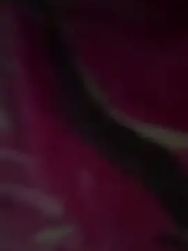 Dama_Rouge