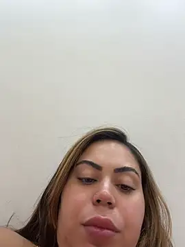 lariic webcam