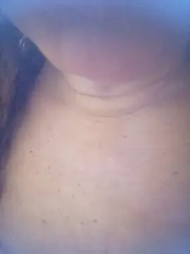 SOLTEIRASIGILO