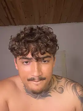 picasso_25CM webcam