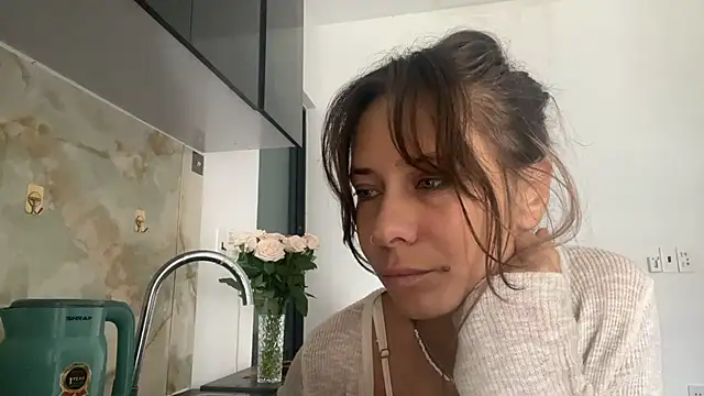 IvyTouch webcam