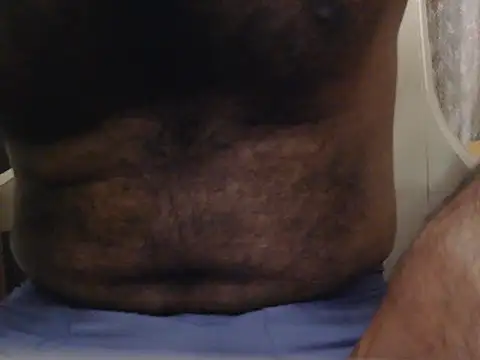 indianhairybull
