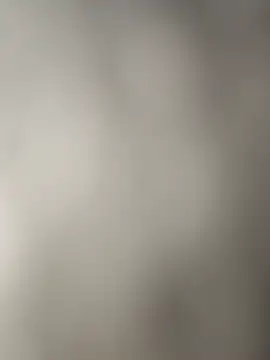 Gayygayy