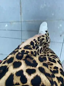 littleqiu live cam on StripChat