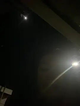 Adrenaline_crazy_JE
