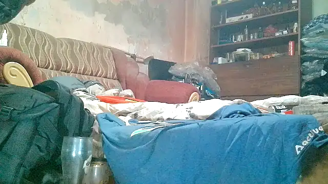 belacska66