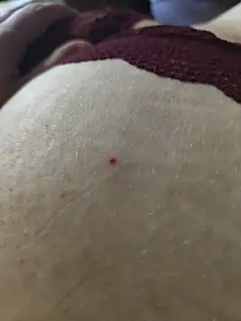 MadaamJizz_DickLewd