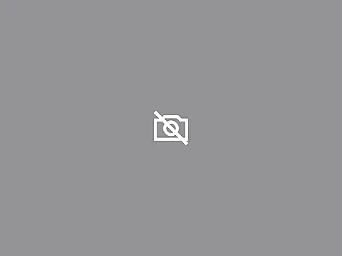 natti_fox