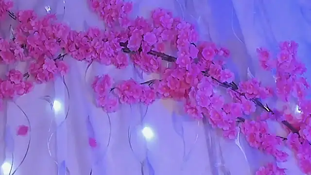 Habiy069 live cam