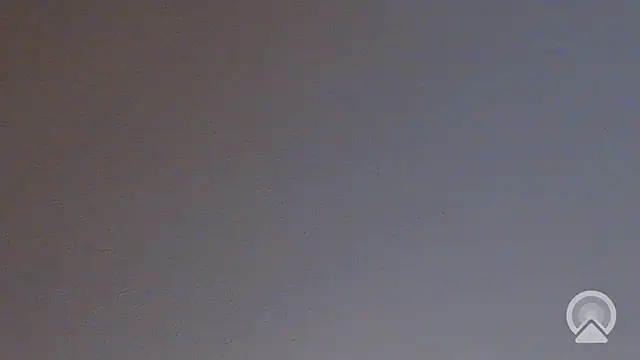 piggylatino