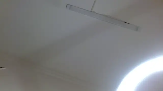isabela_hills live cam preview