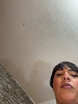 Newshantal_ live cam on StripChat