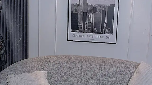auravg webcam