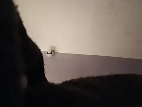 Jazzythorn88