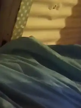 Honey_300 webcam