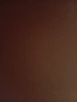 meg_06
