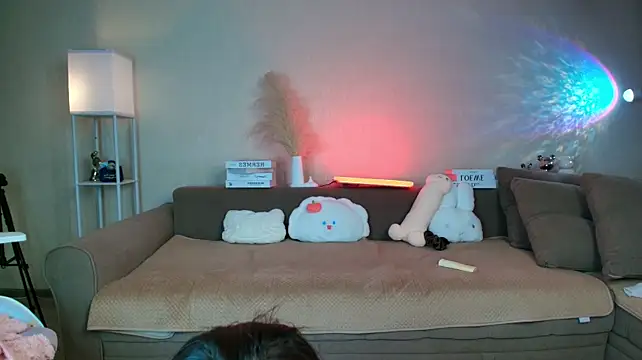 Petitekaya
