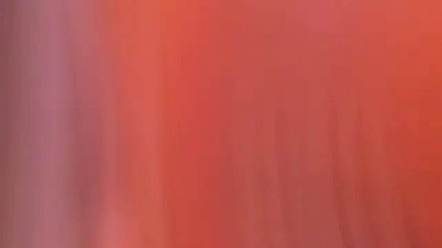 EmilyCruz-