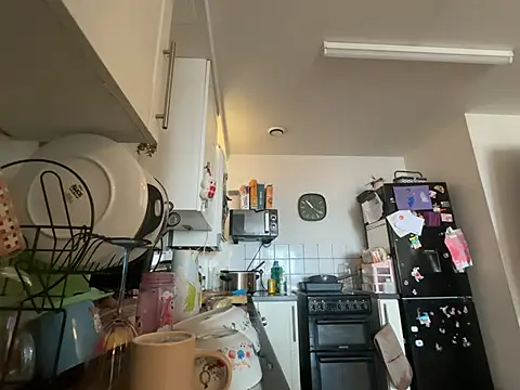 hornyhollyx