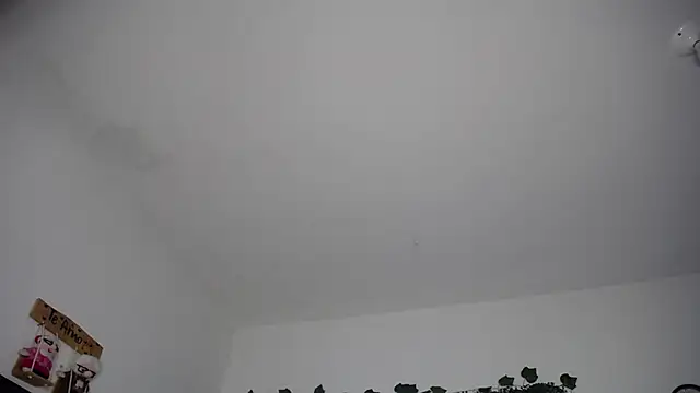 Violettacardona1
