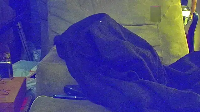 DoMeDoggyNow webcam