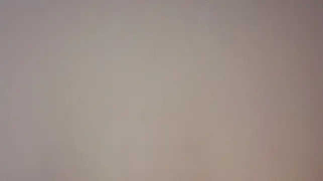 NikkiWiersma