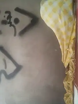 XAMSTERLAYV