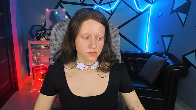 LidaDarknet