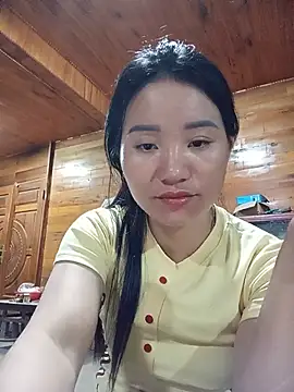 Td3di