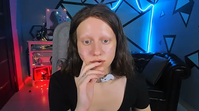 LidaDarknet webcam