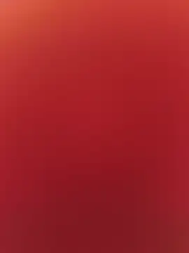 soyyoelque4