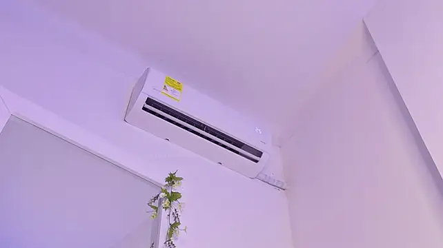 GingerMoon_