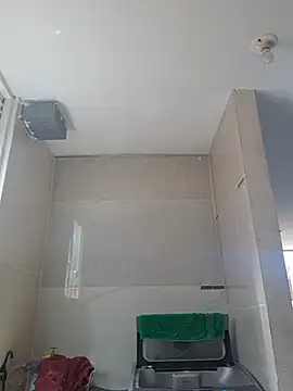 Elgatoloco11