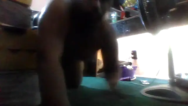 HBYAM live cam on StripChat