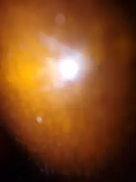 very_big_dick00