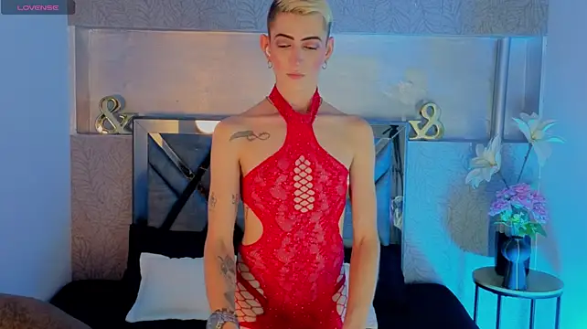 dominic_thailor webcam