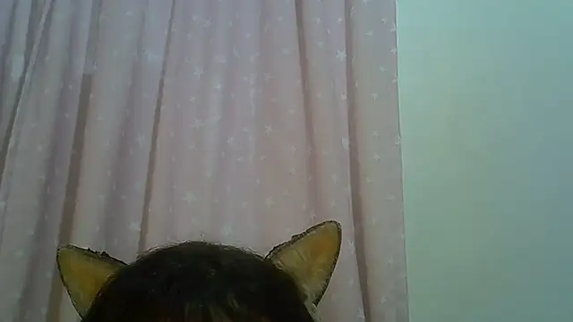 SkinnyKitten