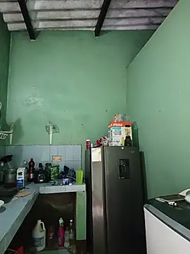 Royer webcam
