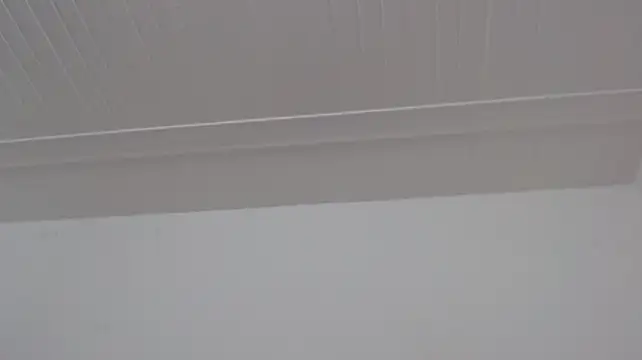 ElizabethMiler live cam preview