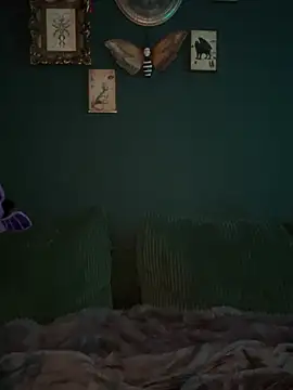 sami_zone