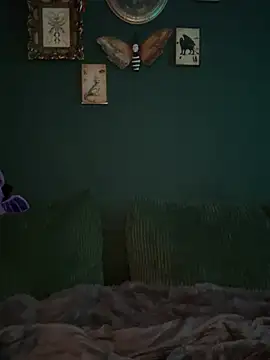 sami_zone